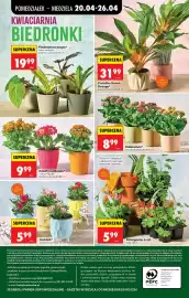 Biedronka gazetka tydzień 17 Strona 108