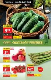 Biedronka gazetka tydzień 17 Strona 42