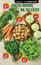 Biedronka gazetka tydzień 17 Strona 45