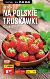 Biedronka gazetka tydzień 17 Strona 47