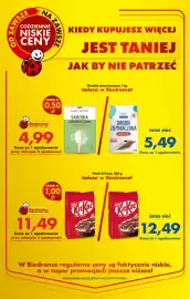 Biedronka gazetka tydzień 17 Strona 5