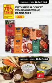 Biedronka gazetka tydzień 17 Strona 51