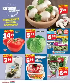 Topaz Express gazetka tydzień 17 Strona 10