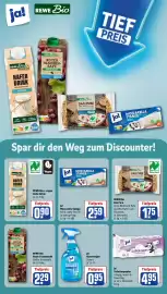 Rewe DE folder week 17 Pagina 17