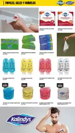 Catálogo Supermercados Yaguar Página 13