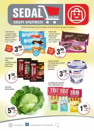 Sedal gazetka Strona 1