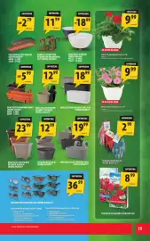 Arhelan gazetka Strona 19