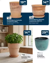 Mrówka gazetka Strona 17