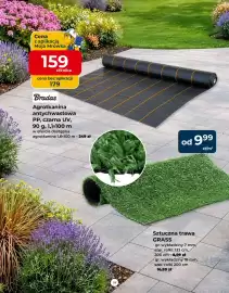 Mrówka gazetka Strona 19