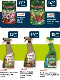 Mrówka gazetka Strona 25