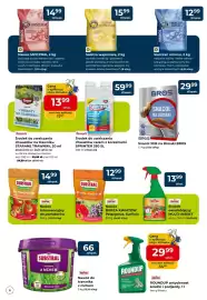 Mrówka gazetka Strona 5