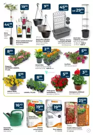 Mrówka gazetka Strona 7