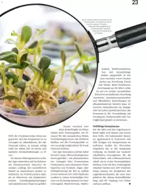 Lagerhaus Flugblatt Seite 24