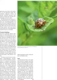 Lagerhaus Flugblatt Seite 38