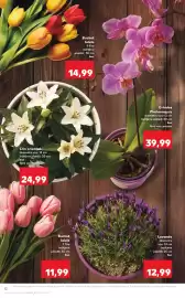 Catalog Kaufland săptămâna 17 Pagină 12