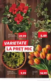 Catalog Kaufland săptămâna 17 Pagină 13