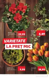 Catalog Kaufland săptămâna 17 Pagină 13