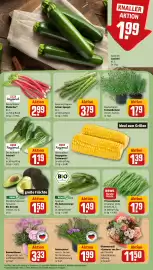 REWE City Prospekt woche 17 Seite 9