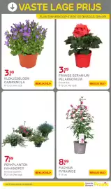 Praxis folder week 17 Pagina 3