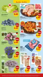 PENNY DE folder week 17 Pagina 32