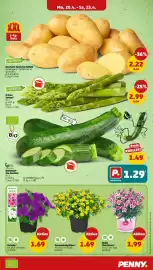 PENNY DE folder week 17 Pagina 7