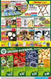 Norma DE folder week 18 Pagina 5