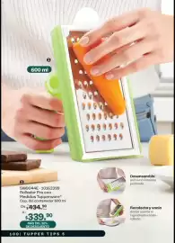 Catálogo Tupperware Página 100