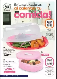 Catálogo Tupperware Página 51