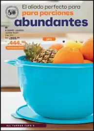 Catálogo Tupperware Página 62