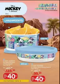 Catálogo Tupperware Página 74