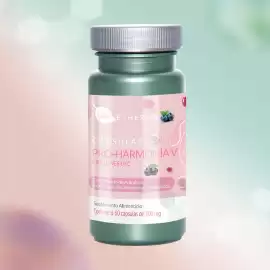 Catálogo Blen Página 2