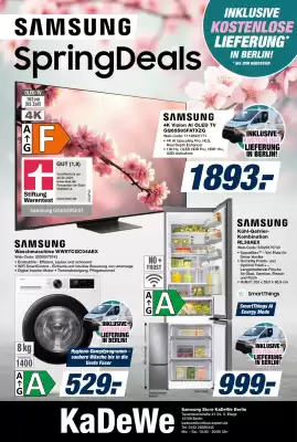 Expert (gültig bis 25-04)