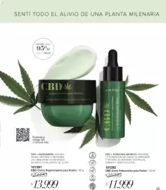 Catálogo Violetta Cosméticos Página 29