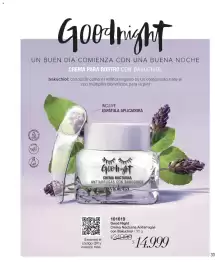 Catálogo Violetta Cosméticos Página 33