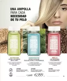 Catálogo Violetta Cosméticos Página 39
