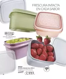 Catálogo Violetta Cosméticos Página 86