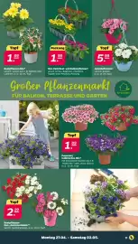 NETTO Prospekt woche 18 Seite 13