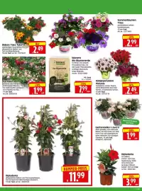 Herkules Baumarkt Prospekt woche 17 Seite 2