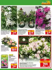 Herkules Baumarkt Prospekt woche 17 Seite 3