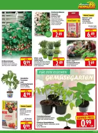 Herkules Baumarkt Prospekt woche 17 Seite 5