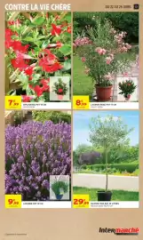Catalogue Intermarché Drive page 13