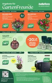 Bellaflora Flugblatt Seite 12