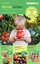 Bellaflora Flugblatt Seite 1