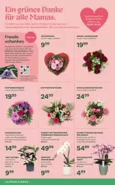 Bellaflora Flugblatt Seite 10