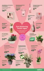 Bellaflora Flugblatt Seite 11