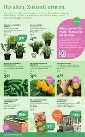 Bellaflora Flugblatt Seite 2