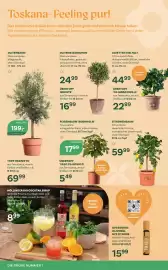 Bellaflora Flugblatt Seite 4