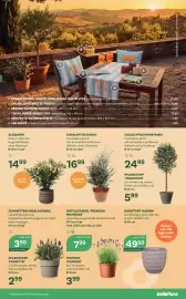 Bellaflora Flugblatt Seite 5