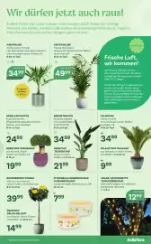 Bellaflora Flugblatt Seite 9