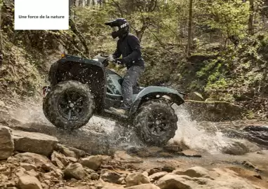 Catalogue Yamaha page 14